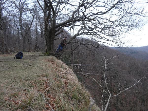Totental bei Langenfeld