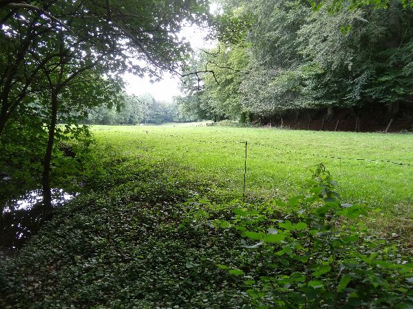 Walterbachtal