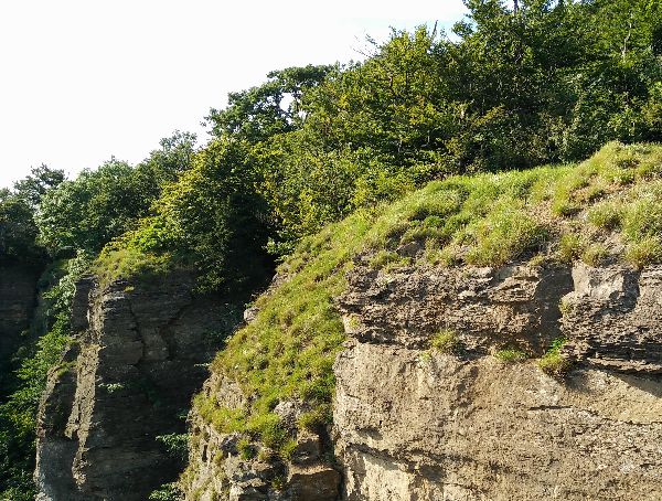 Hohenstein